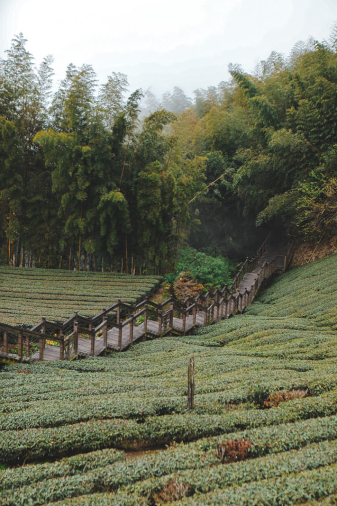 Taiwan