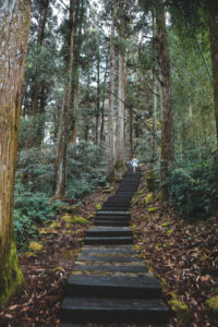 Taiwan
