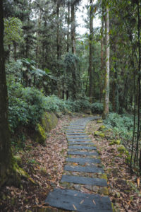 Taiwan