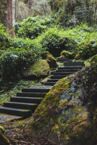 Taiwan
