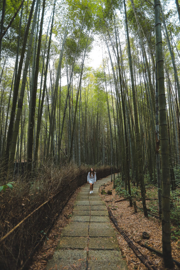Taiwan