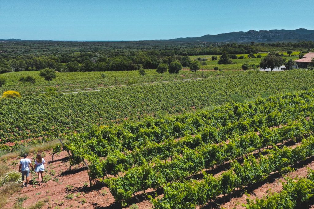 jas d'esclans la motte vins de provence