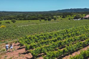 jas d'esclans la motte vins de provence