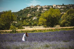 gordes lavande