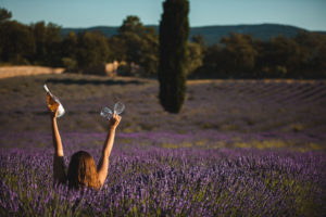lavande var chateau martinette lorgues