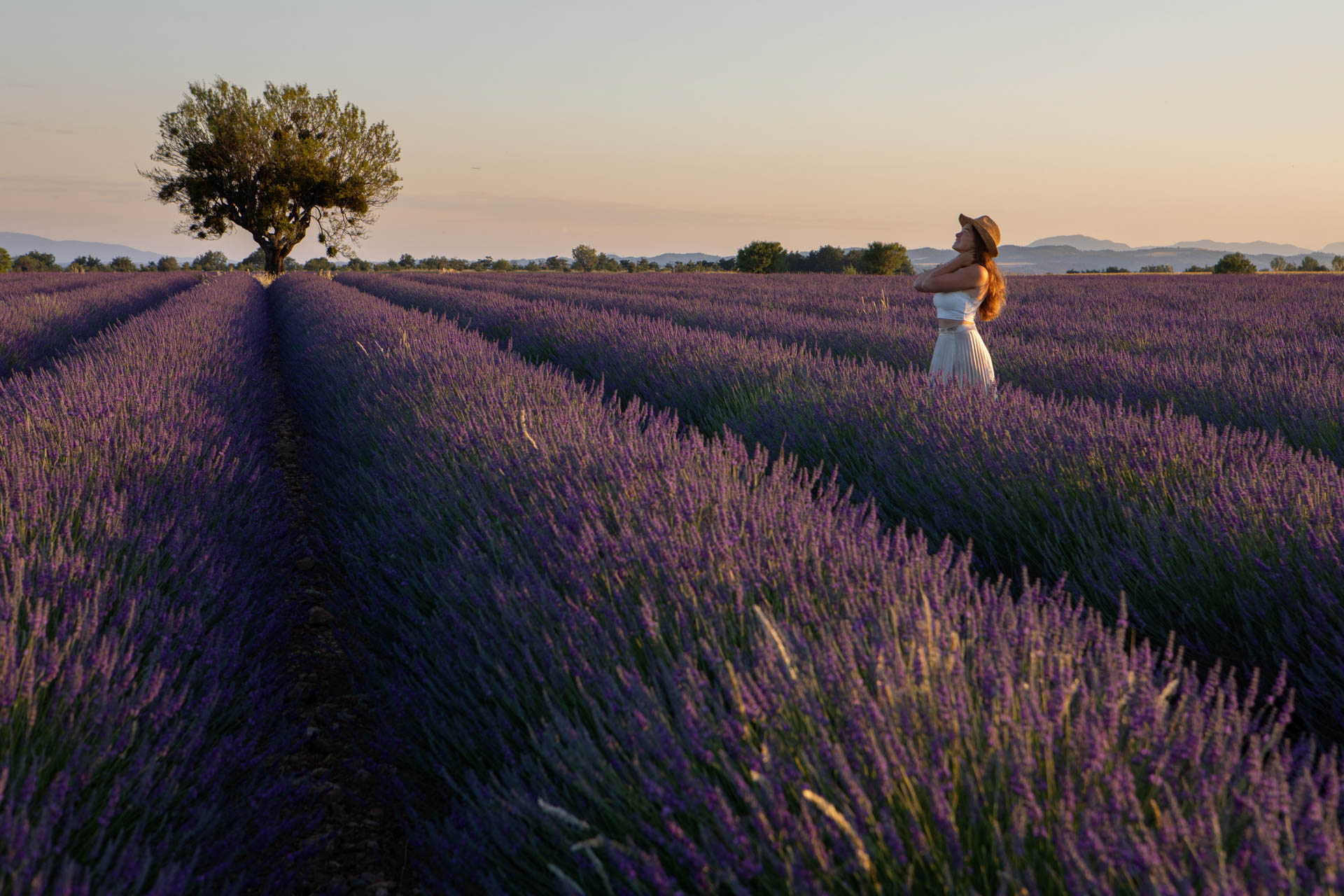 lavande valensole3 On met les voiles Blog voyage en France et