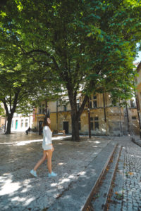 Saint Remy de Provence
