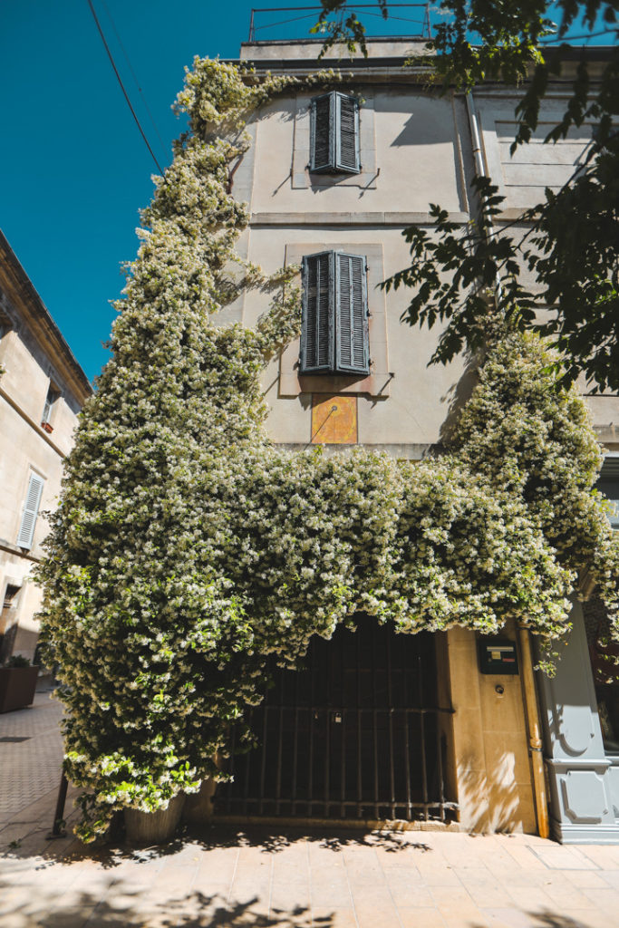 Saint Remy de Provence