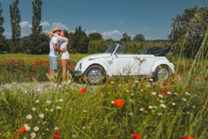champs de coquelicots