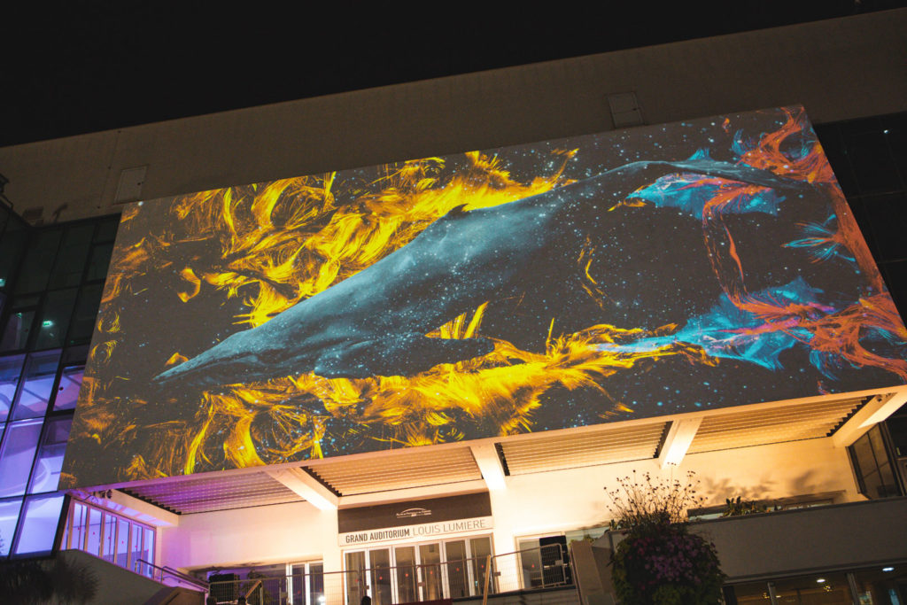mapping cannes