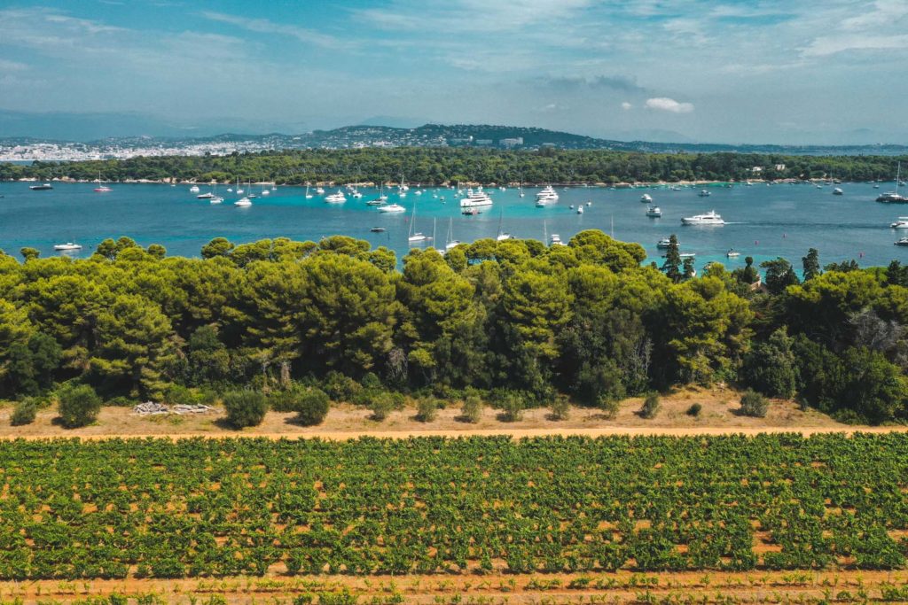 ile saint honorat