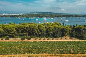 ile saint honorat