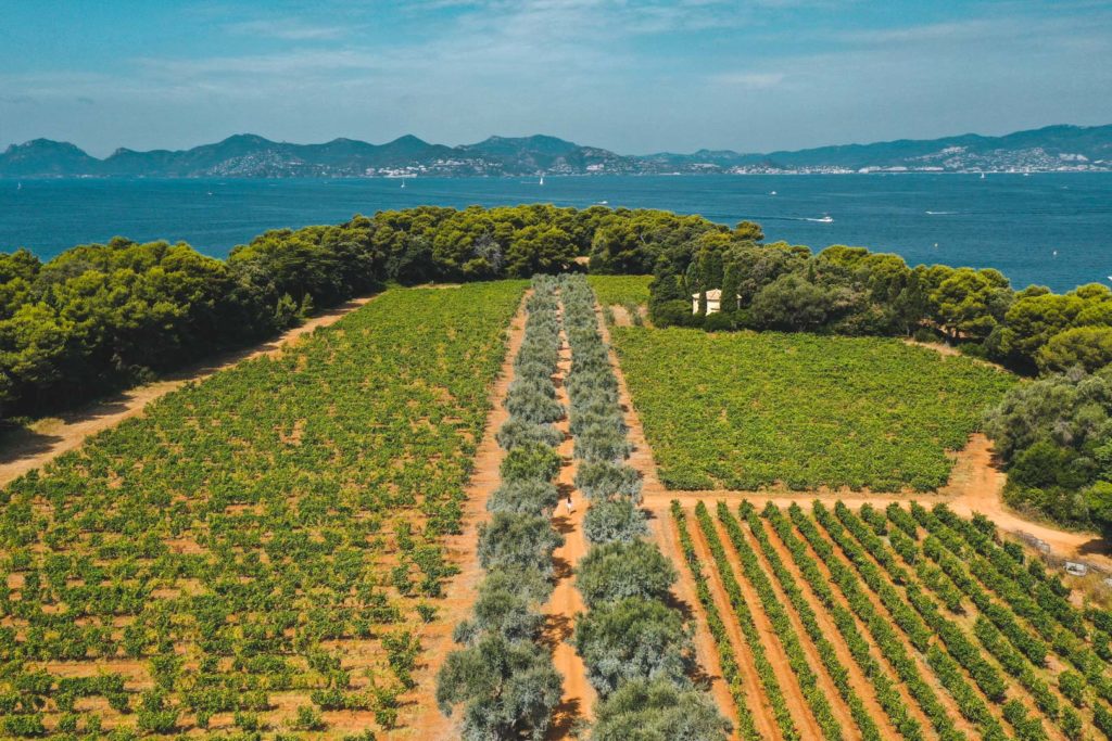 ile saint honorat cannes