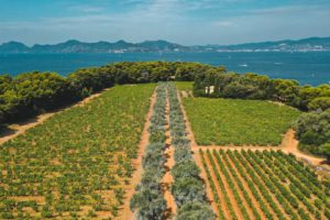 ile saint honorat cannes