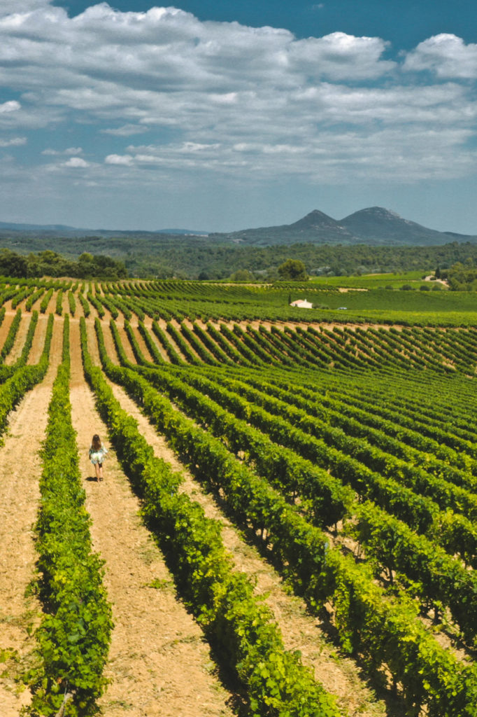 domaine de cantarelle