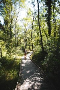 vallon des sourn
