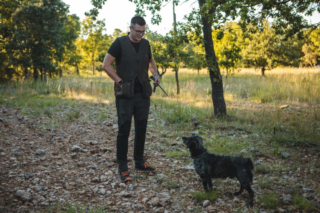 domaine majastre verdon