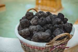 truffes domaine majastre
