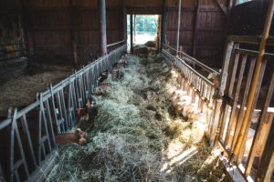 fromagerie chateaudouble