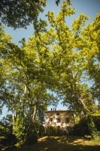 chateau mentone