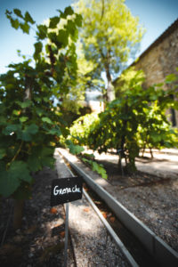 chateau mentone
