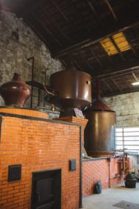 visite maison cognac