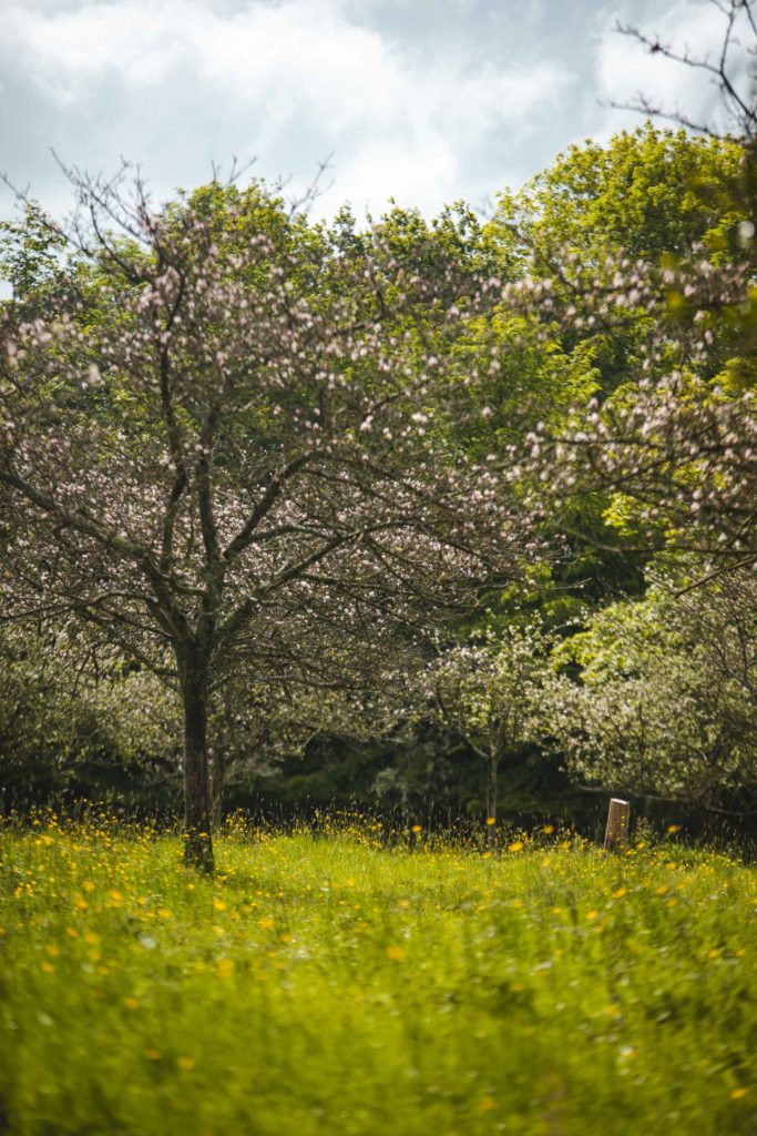 Beuvron en Auge