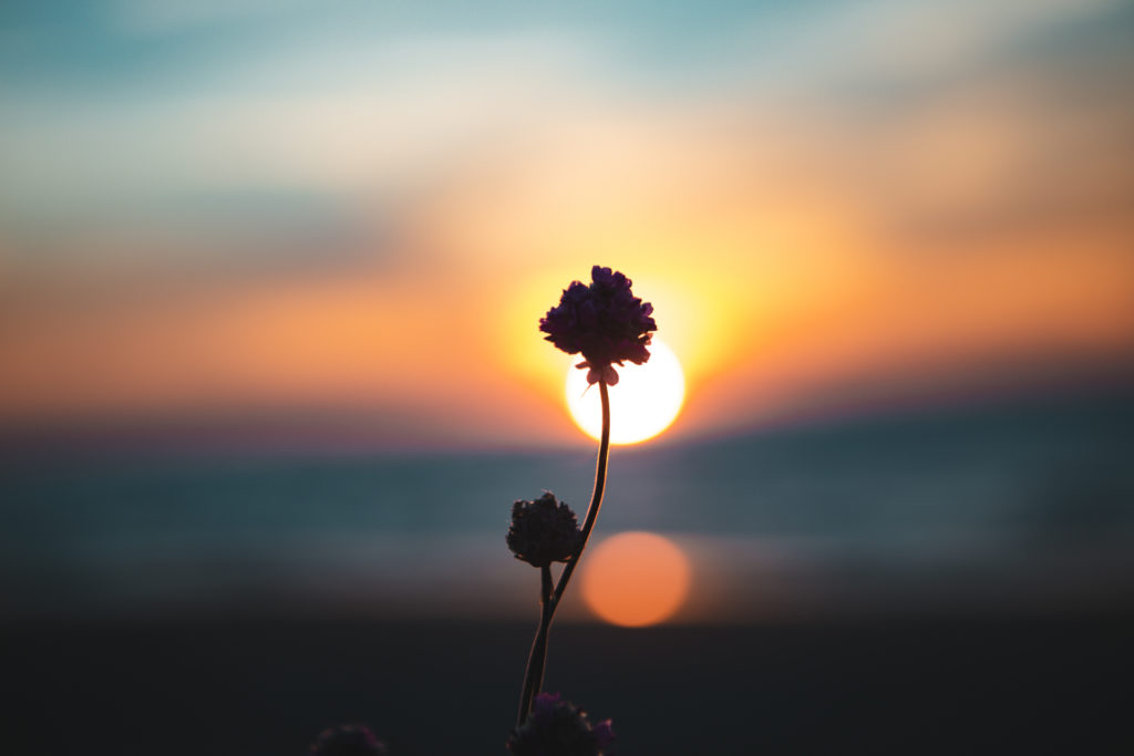 coucher de soleil cabourg