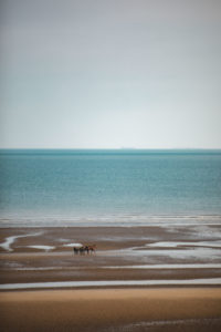 plage cabourg