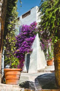 Grimaud