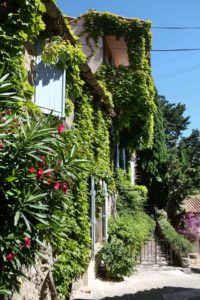 Grimaud