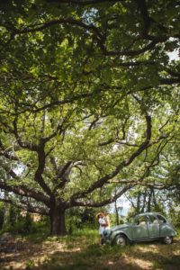 Mougins tourisme