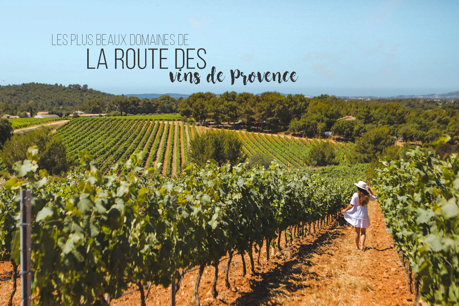 Vins de Provence