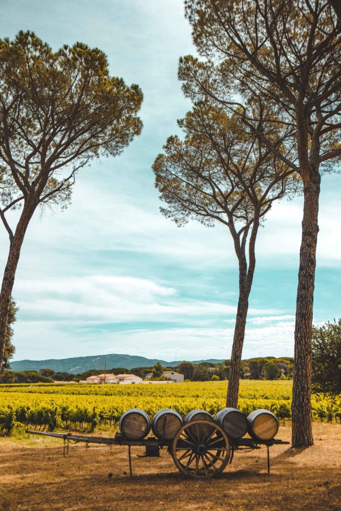 les Feraud