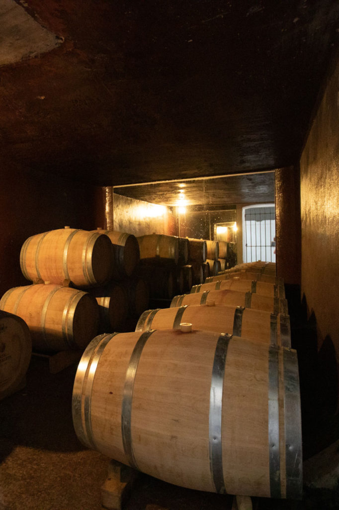 Chateau Saint Martin