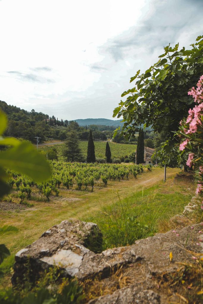 Domaine du Dragon