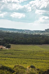 chateau Roubine