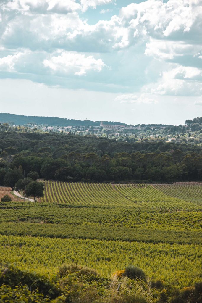 chateau Roubine