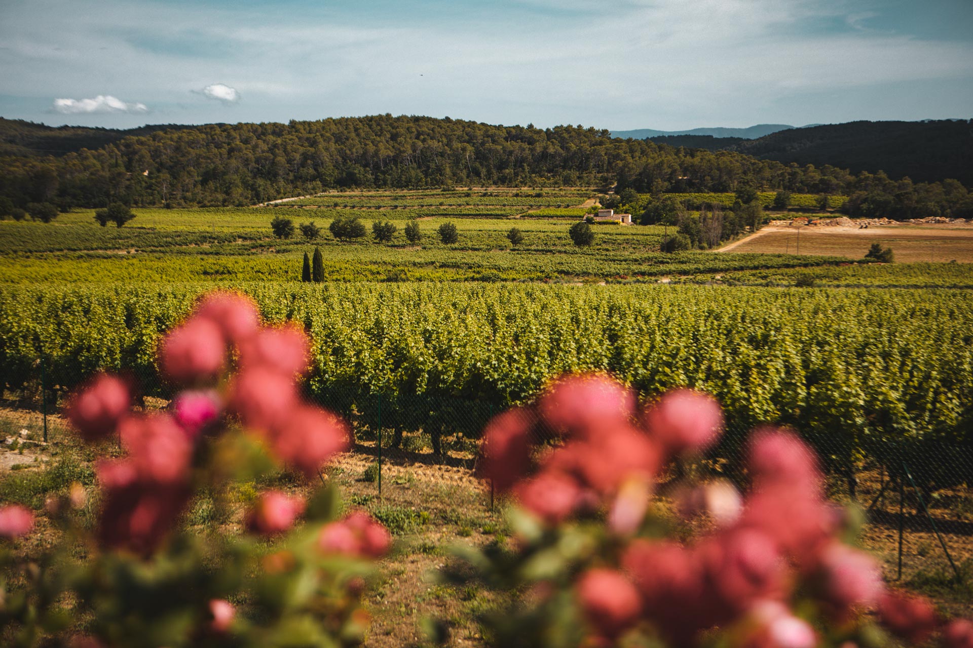 13 Domaines Viticoles Sur La Route Des Vins De Provence En Dracénie ...