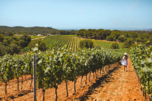 domaine de figuiere
