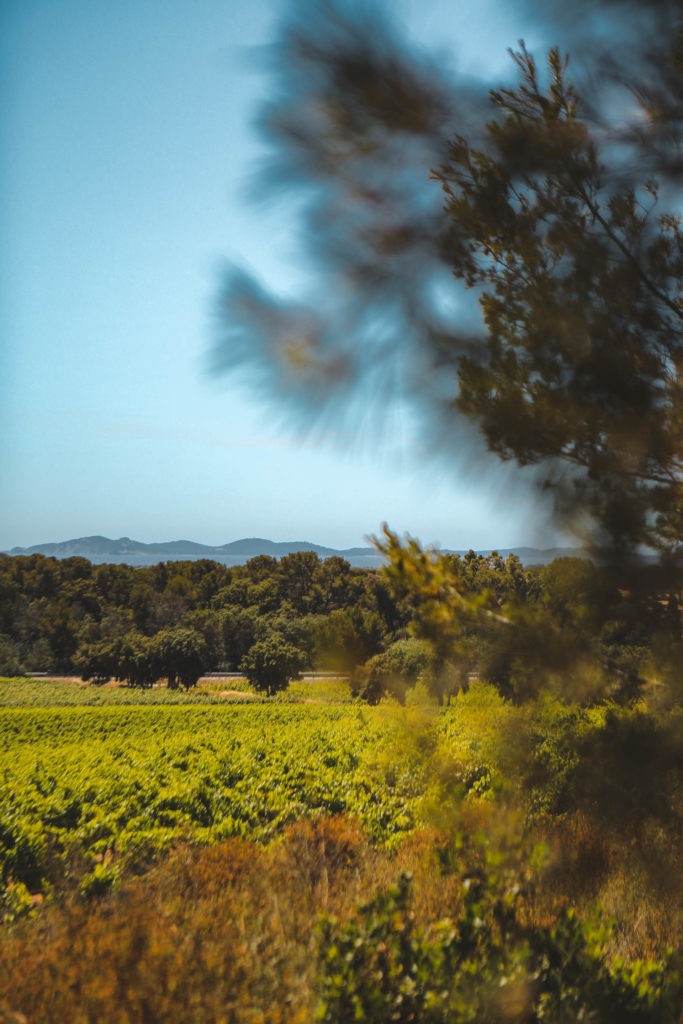 domaine de figuiere
