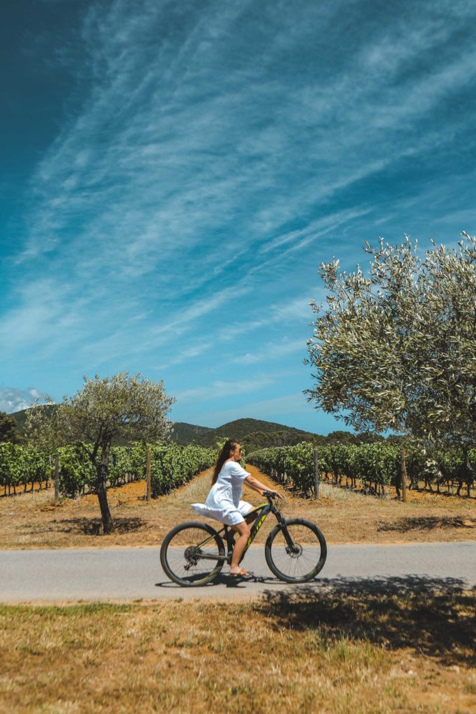 domaine de figuiere