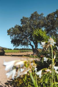 Chateau Malherbe