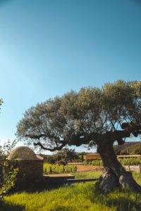 Chateau Malherbe