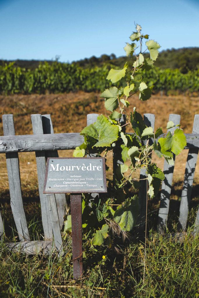 Chateau Malherbe