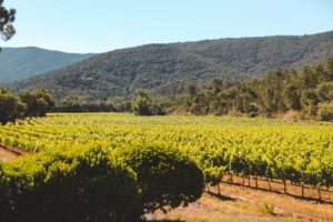 domaine sainte marie