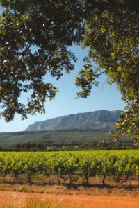 chateau Gassier