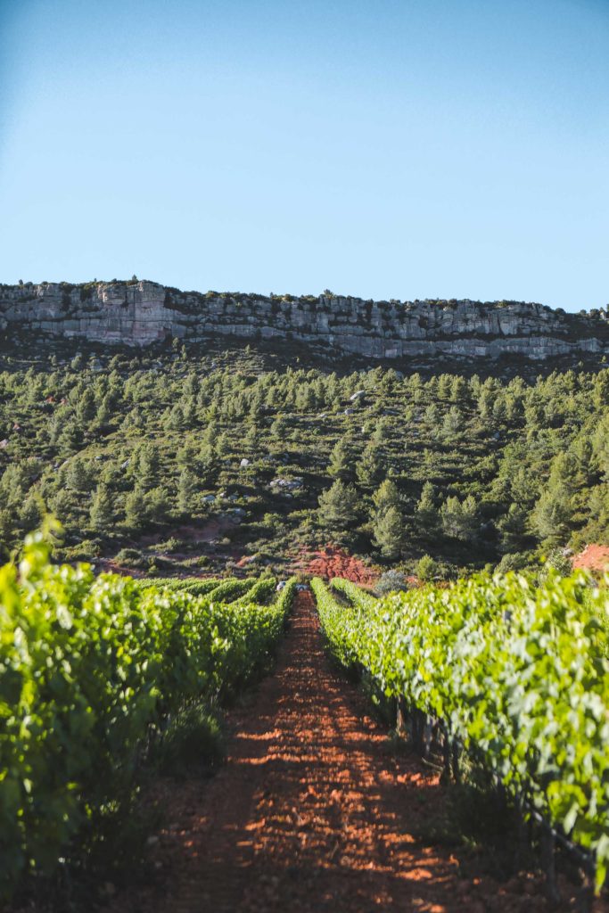 domaine de la Galiniere
