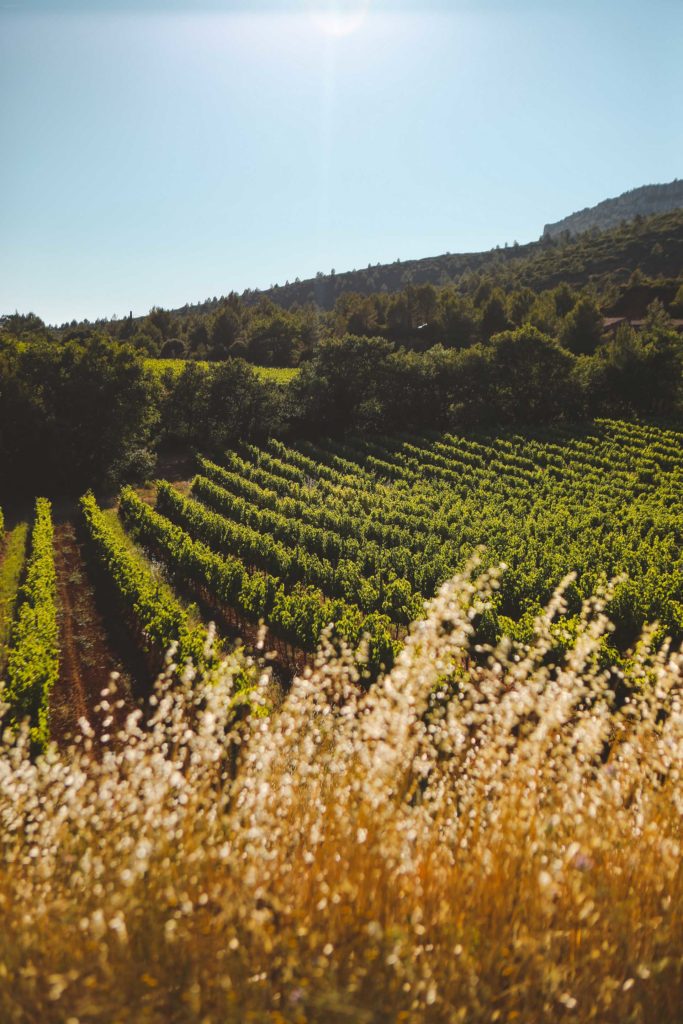 domaine de la Galiniere