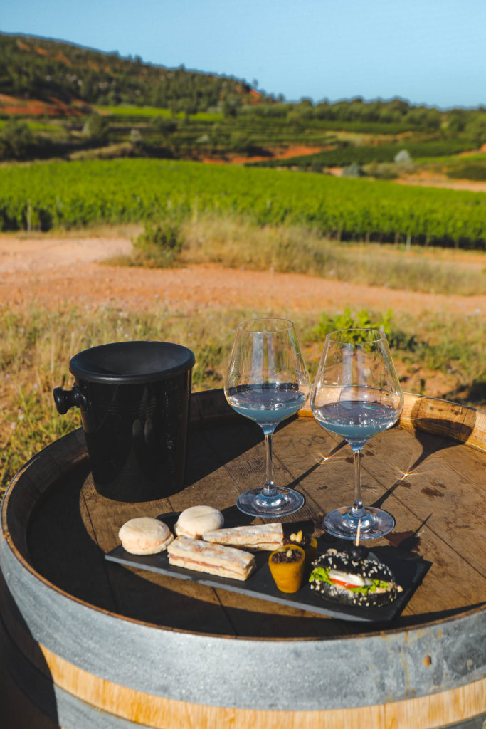 domaine de la Galiniere